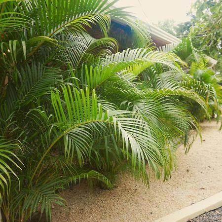 Gala Apts Playa Santa Teresa  Экстерьер фото