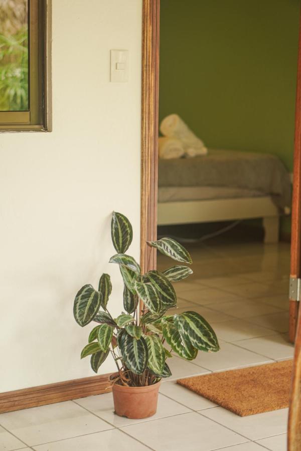 Gala Apts Playa Santa Teresa  Экстерьер фото